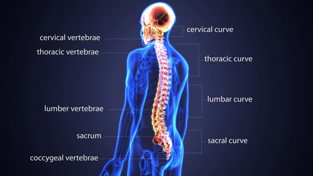 Spinal Cord Injuries